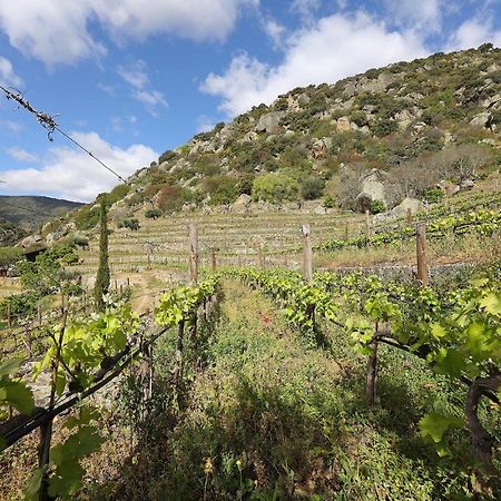منزل الضيف São João da Pesqueira  في Quinta Da Ferradosa Wines المظهر الخارجي الصورة