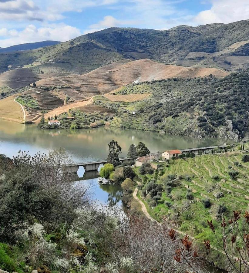 منزل الضيف São João da Pesqueira  في Quinta Da Ferradosa Wines المظهر الخارجي الصورة