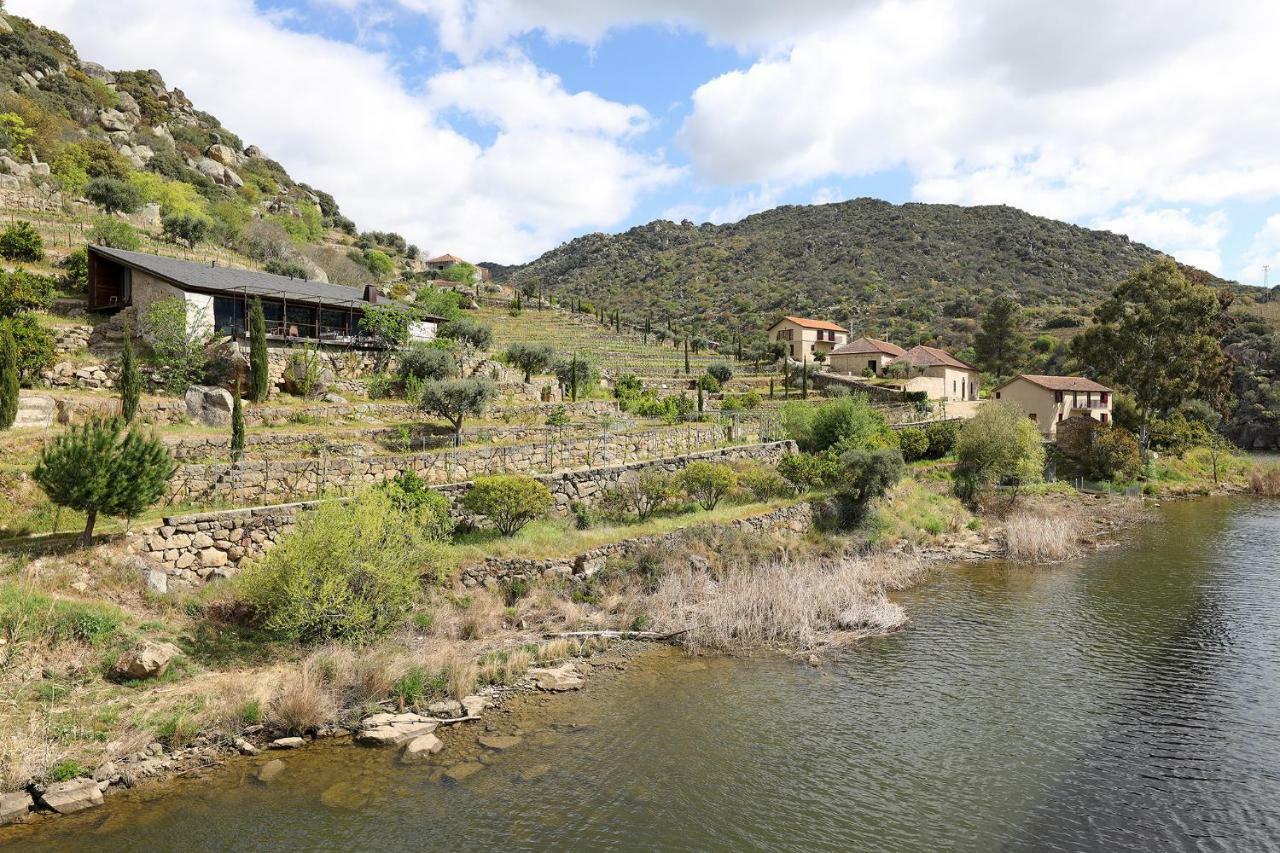 منزل الضيف São João da Pesqueira  في Quinta Da Ferradosa Wines المظهر الخارجي الصورة