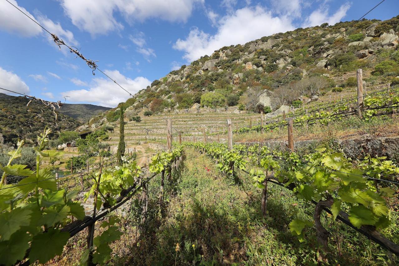 منزل الضيف São João da Pesqueira  في Quinta Da Ferradosa Wines المظهر الخارجي الصورة