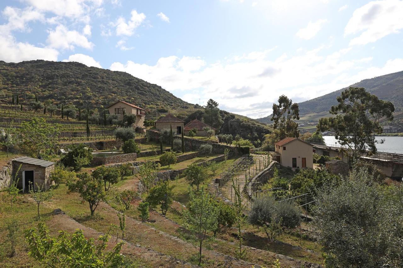 منزل الضيف São João da Pesqueira  في Quinta Da Ferradosa Wines المظهر الخارجي الصورة