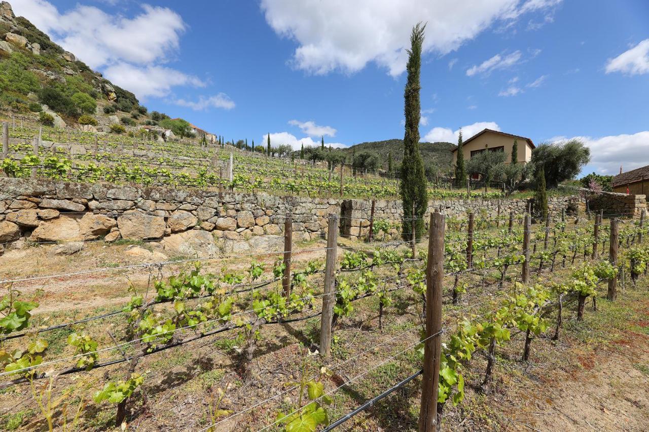 منزل الضيف São João da Pesqueira  في Quinta Da Ferradosa Wines المظهر الخارجي الصورة