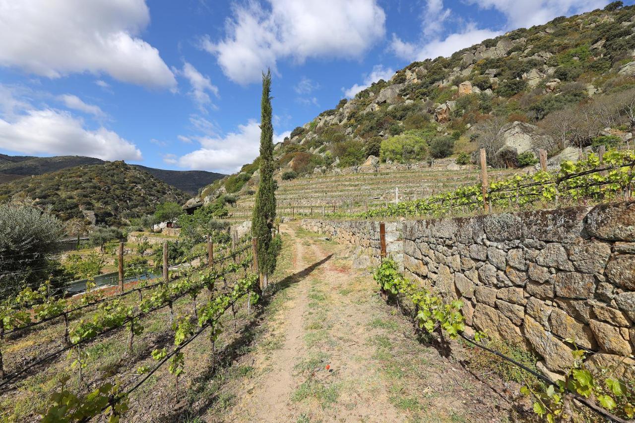 منزل الضيف São João da Pesqueira  في Quinta Da Ferradosa Wines المظهر الخارجي الصورة